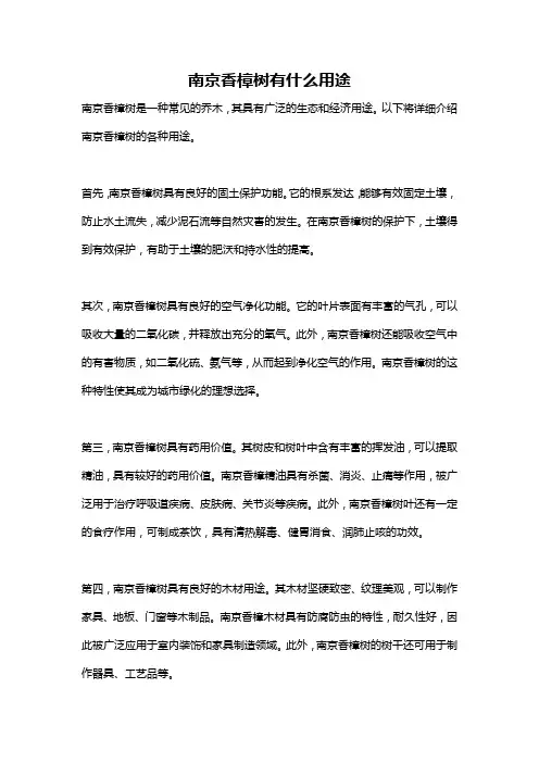 南京香樟树有什么用途