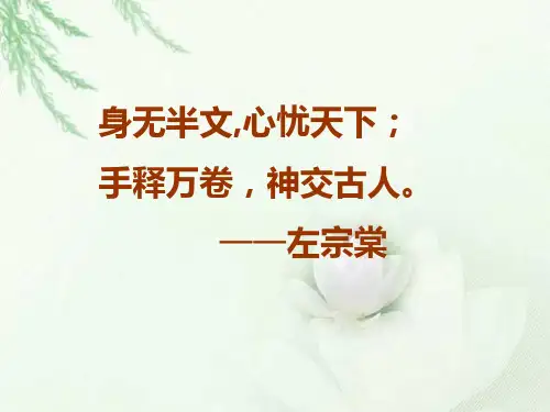 22左公柳课件
