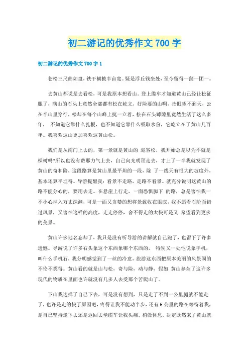 初二游记的优秀作文700字
