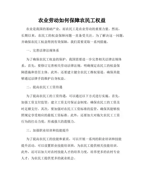 农业劳动如何保障农民工权益