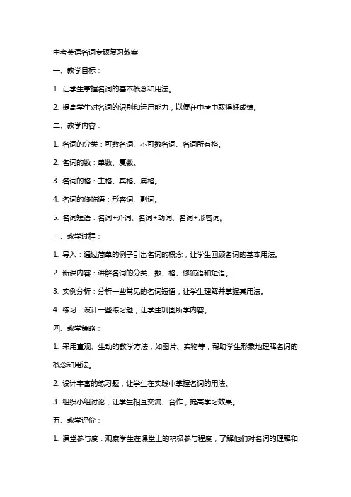 中考英语名词专题复习教案