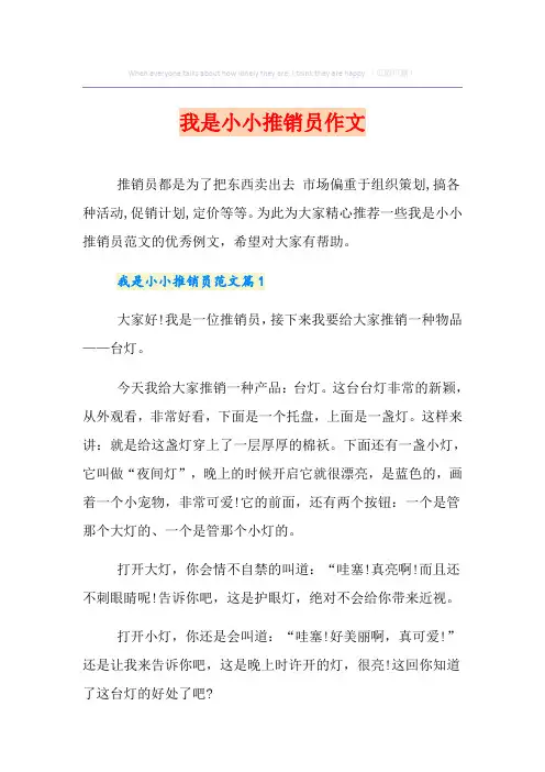 我是小小推销员作文
