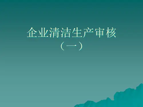 企业清洁生产审核.pptx