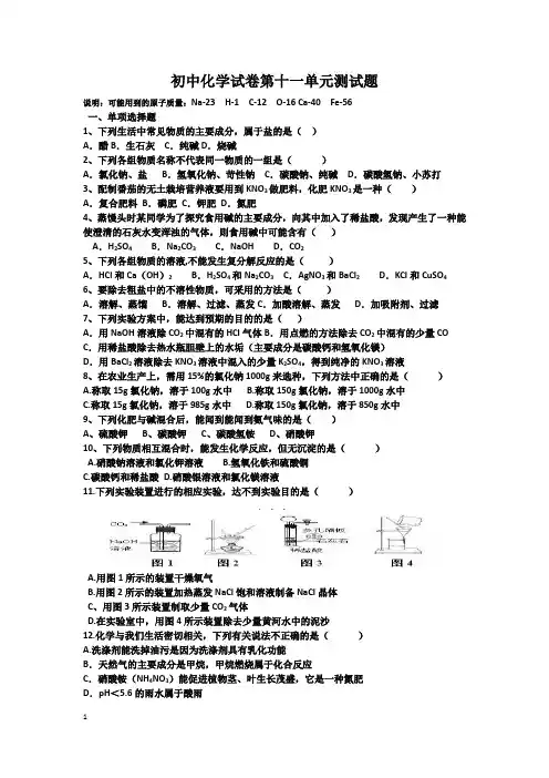 人教版九年级初中化学试卷第十一单元测试题
