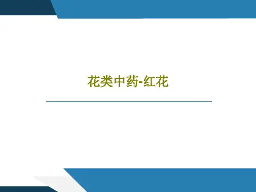 花类中药-红花共38页