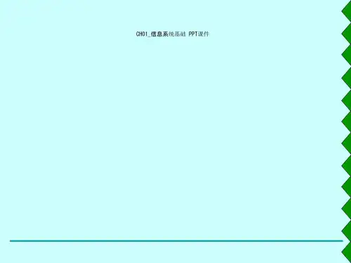 CH01_信息系统基础 PPT课件