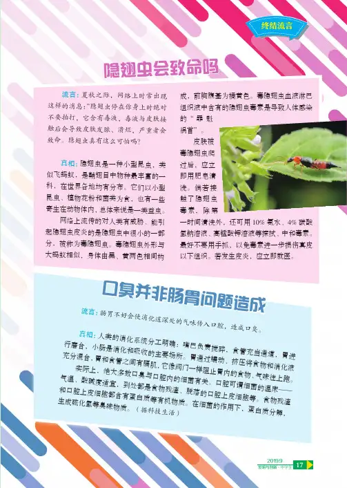隐翅虫会致命吗