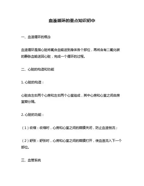 血液循环的重点知识初中