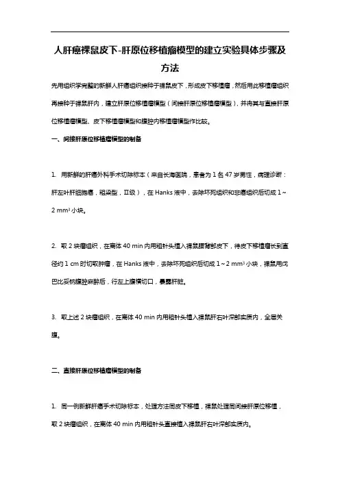 人肝癌裸鼠皮下-肝原位移植瘤模型的建立实验具体步骤及方法