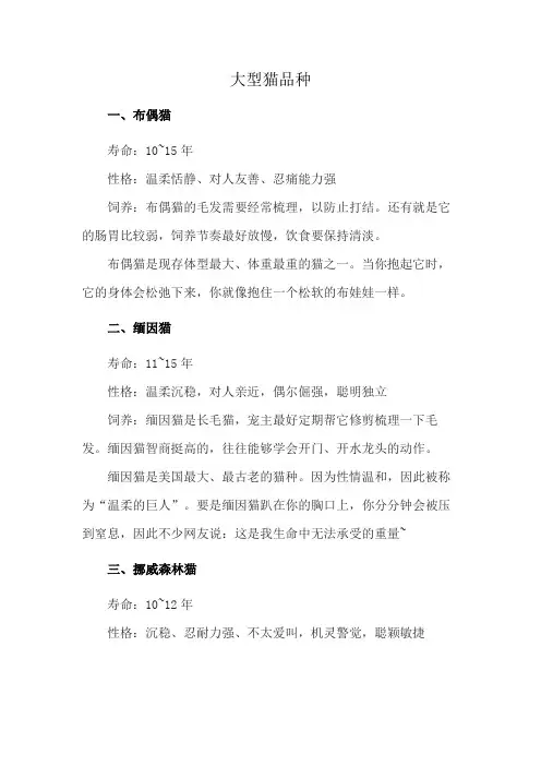 大型猫品种