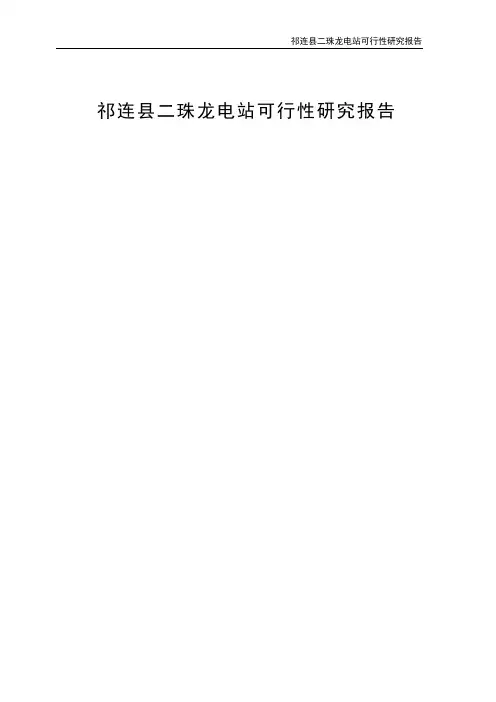 二珠龙水电站可行性研究报告