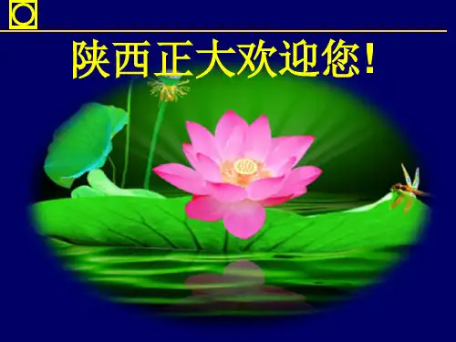 乳猪料销售策略执行情况交流.pptx