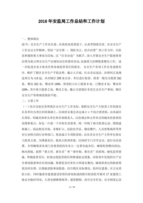 2019年安监局工作总结和工作计划