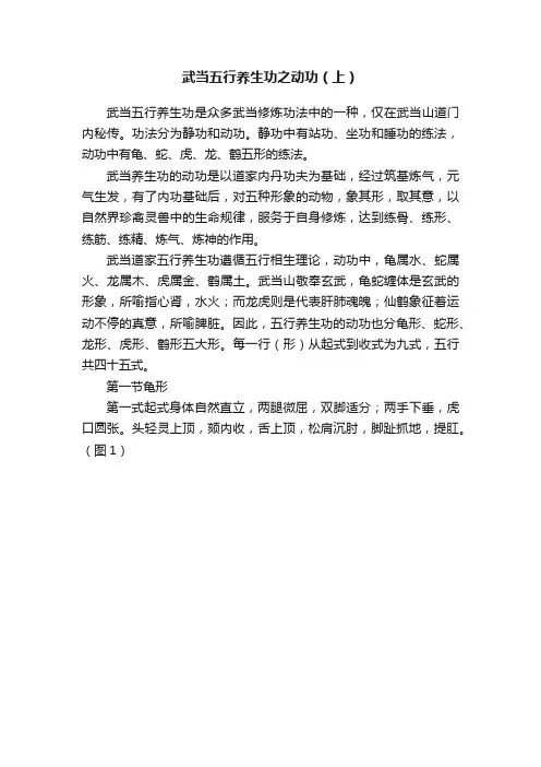 武当五行养生功之动功（上）