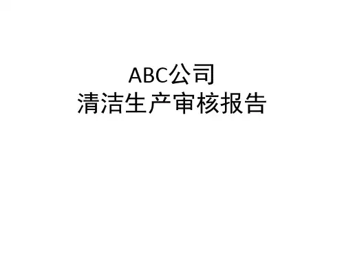 铅酸电池企业清洁生产审核报告精本