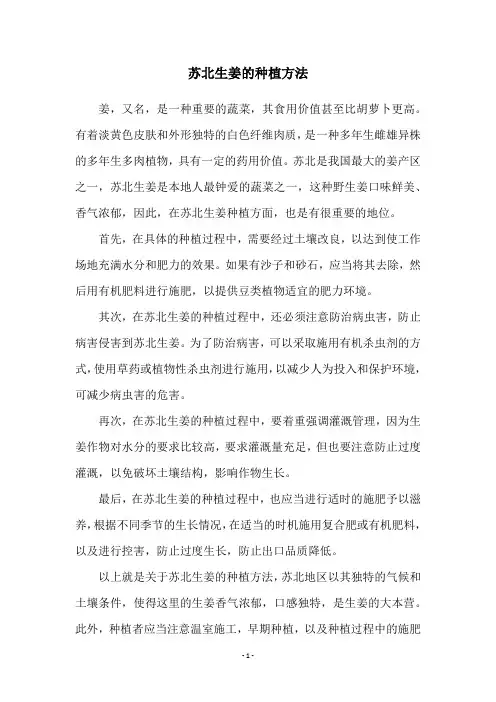 苏北生姜的种植方法
