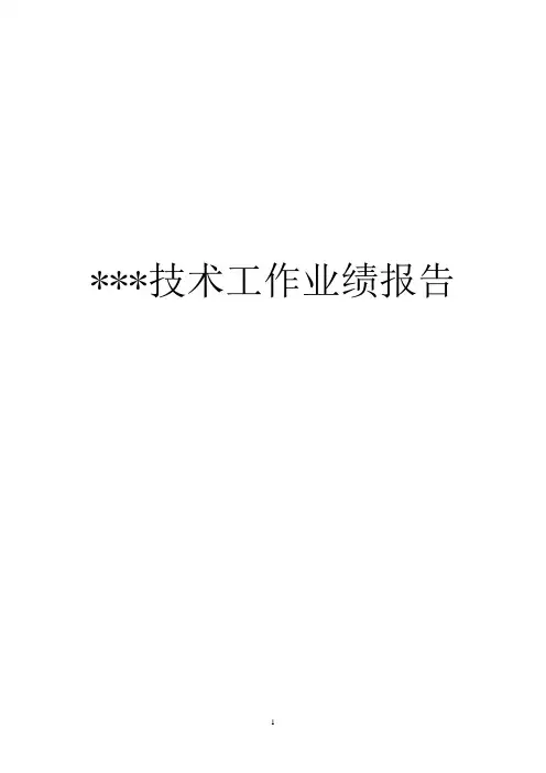 高级会计师技术工作业绩工作报告示例