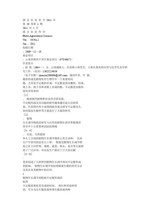不定根的形成过程