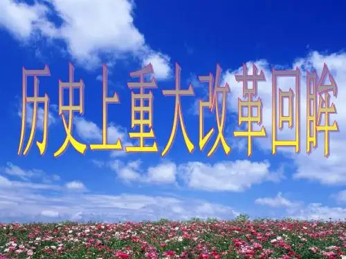 人民版高中历史选修一专题一《梭伦改革》课件 (共39张PPT)