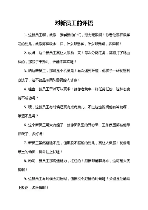 对新员工的评语