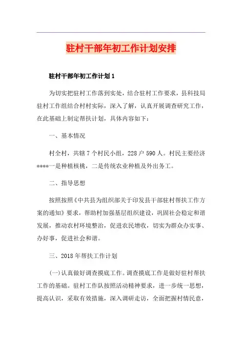 驻村干部年初工作计划安排