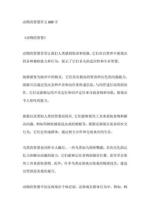 动物的智慧作文600字