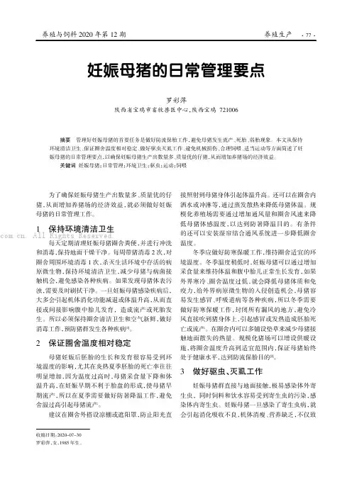 妊娠母猪的日常管理要点