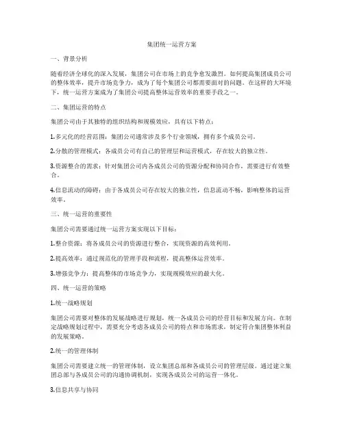 集团统一运营方案