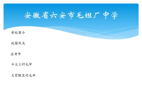 安徽省六安市毛坦厂中学