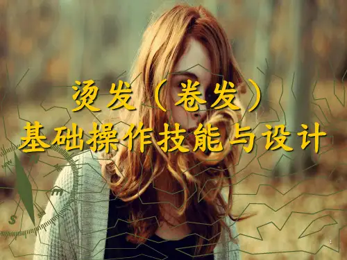 烫发的基础操作ppt课件