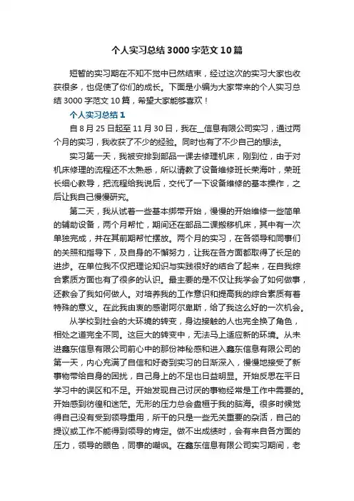 个人实习总结3000字范文10篇