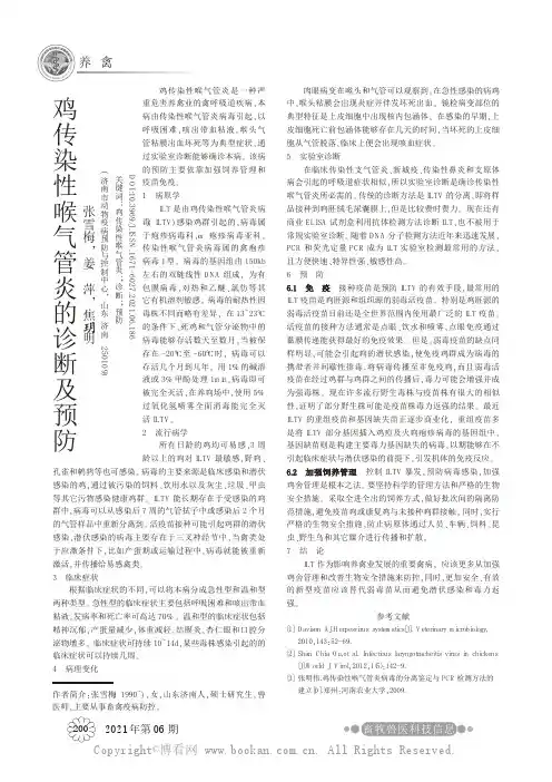 鸡传染性喉气管炎的诊断及预防