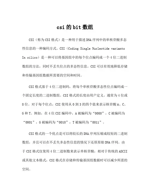 csi的bit数组