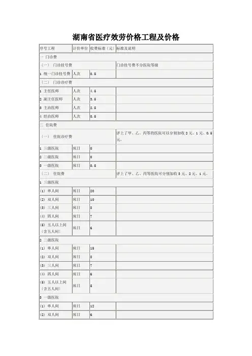 湖南省医疗服务价格项目及价格doc-湖南省医疗服务价格项