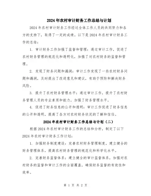 2024年农村审计财务工作总结与计划