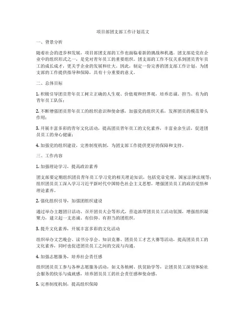项目部团支部工作计划范文