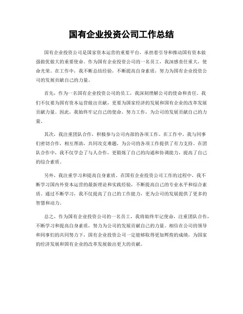 国有企业投资公司工作总结