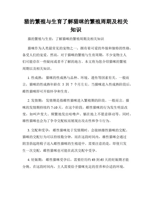 猫的繁殖与生育了解猫咪的繁殖周期及相关知识