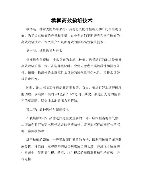 槟榔高效栽培技术