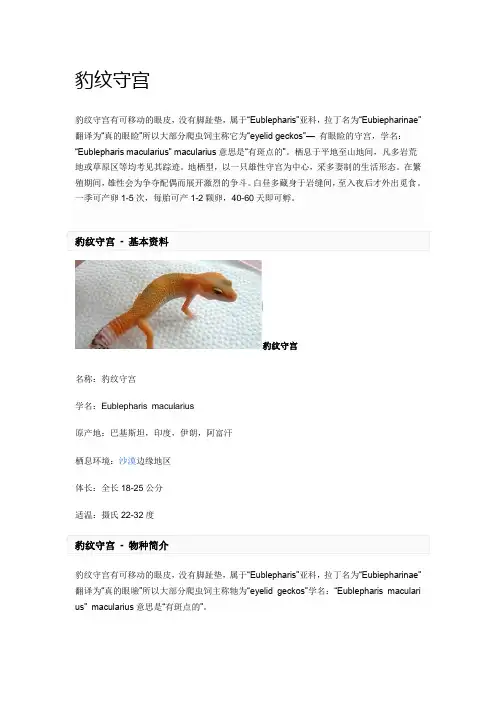 豹纹守宫