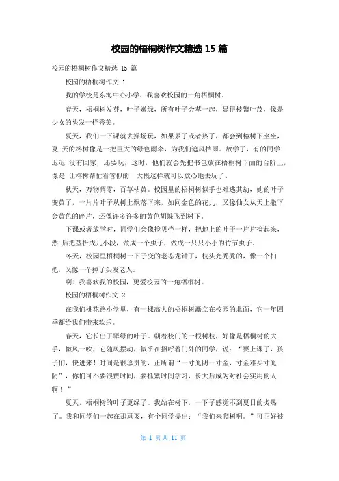 校园的梧桐树作文精选15篇