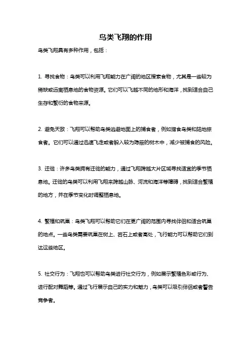 鸟类飞翔的作用