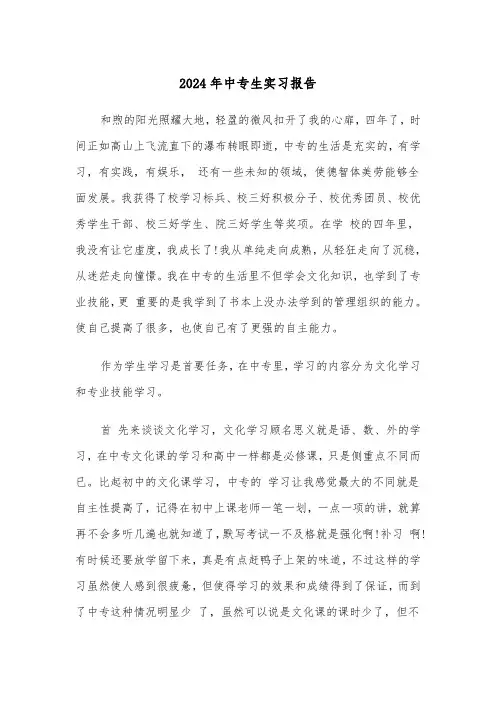 2024年中专生实习报告（3篇）