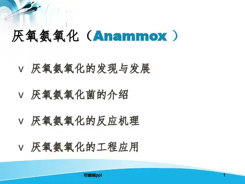 厌氧氨氧化的简介ppt课件