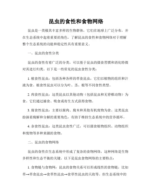 昆虫的食性和食物网络