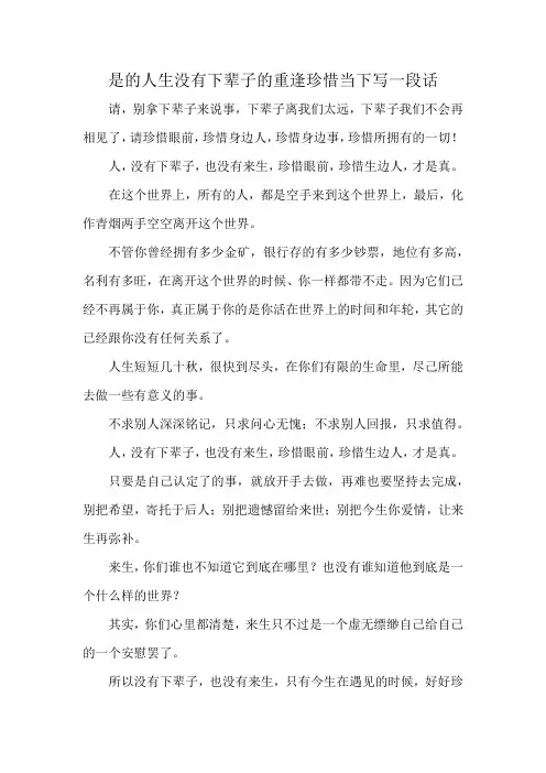 是的人生没有下辈子的重逢珍惜当下写一段话