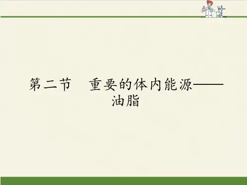 人教版高中化学选修1课件-1.2 重要的体内能源——油脂1