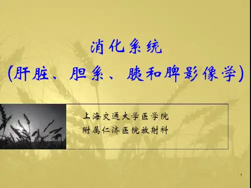 消化系统(肝脏胆系胰腺脾脏)