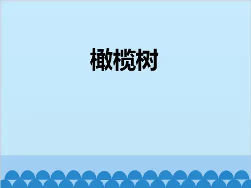 《橄榄树》PPT教学课件