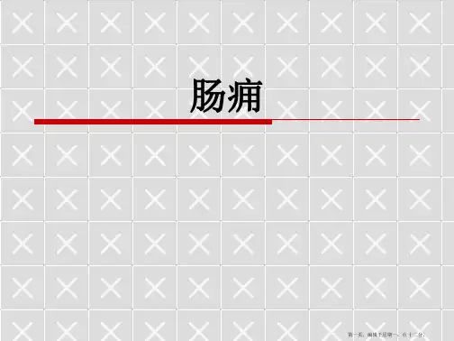 课程案例-肠痈
